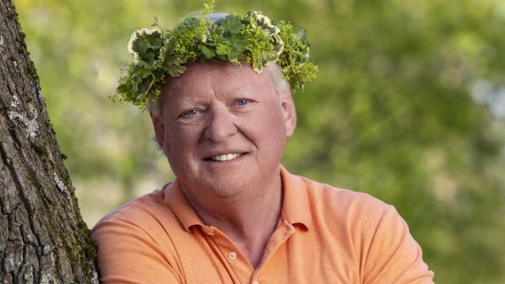 Att citera barnböcker borde leda till att vuxna män förlorar sina expertcertifikat