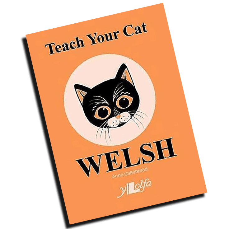 Boken som skulle göra min katt flerspråkig – och varför den misslyckades