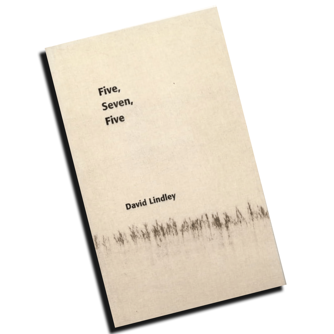 David Lindley, Reports from Another Planet, haiku, haikupoesi, poesirecension, modern haiku, japansk haiku, fragmentpoesi, kortdikter, samtidspoesi, diktrecension, litteraturkritik, poesi, engelskspråkig poesi, minimalistisk poesi, Hjortronhyllan